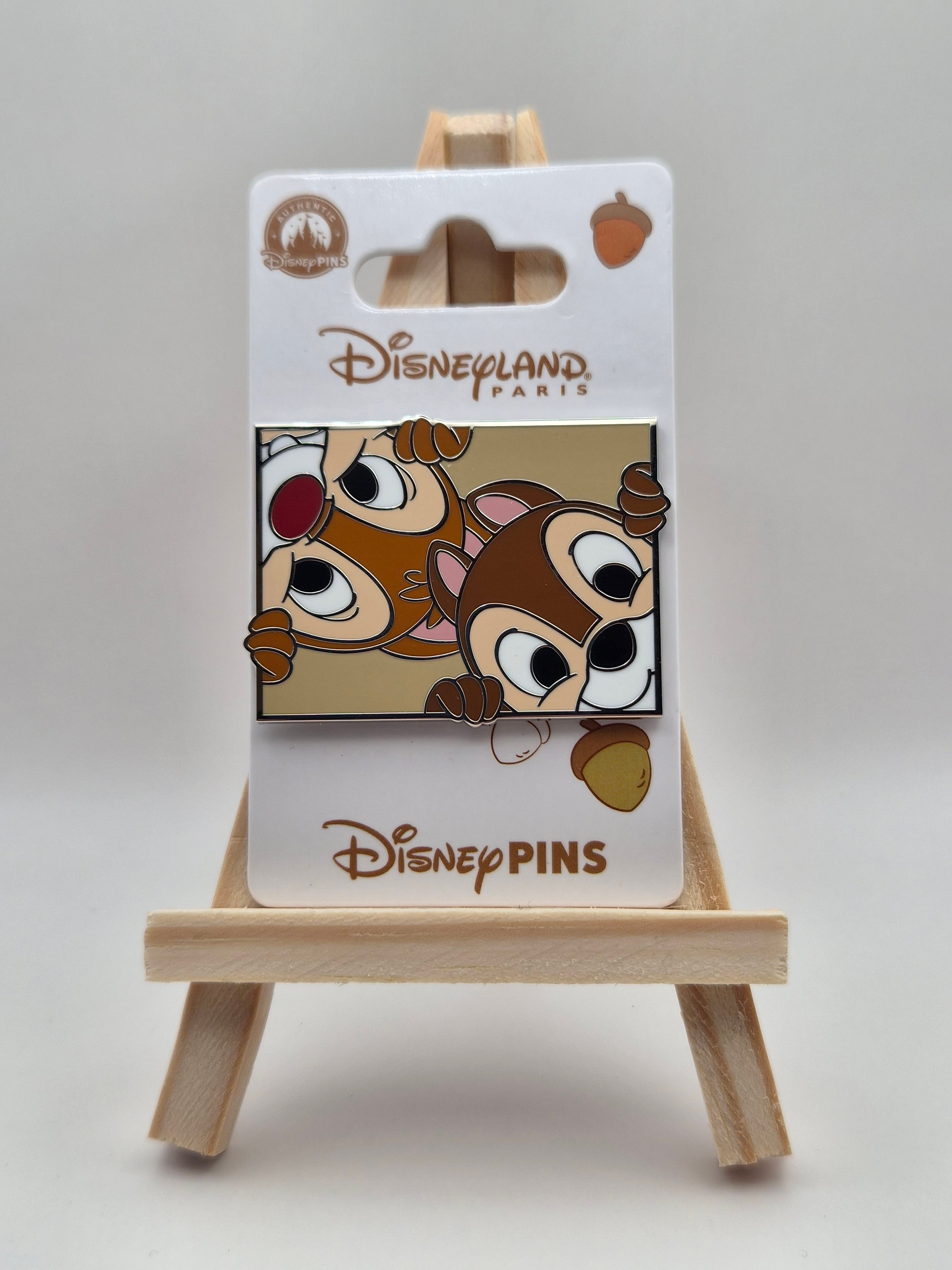 Chip & Dale - Rectangular - Disneyland Paris Pin