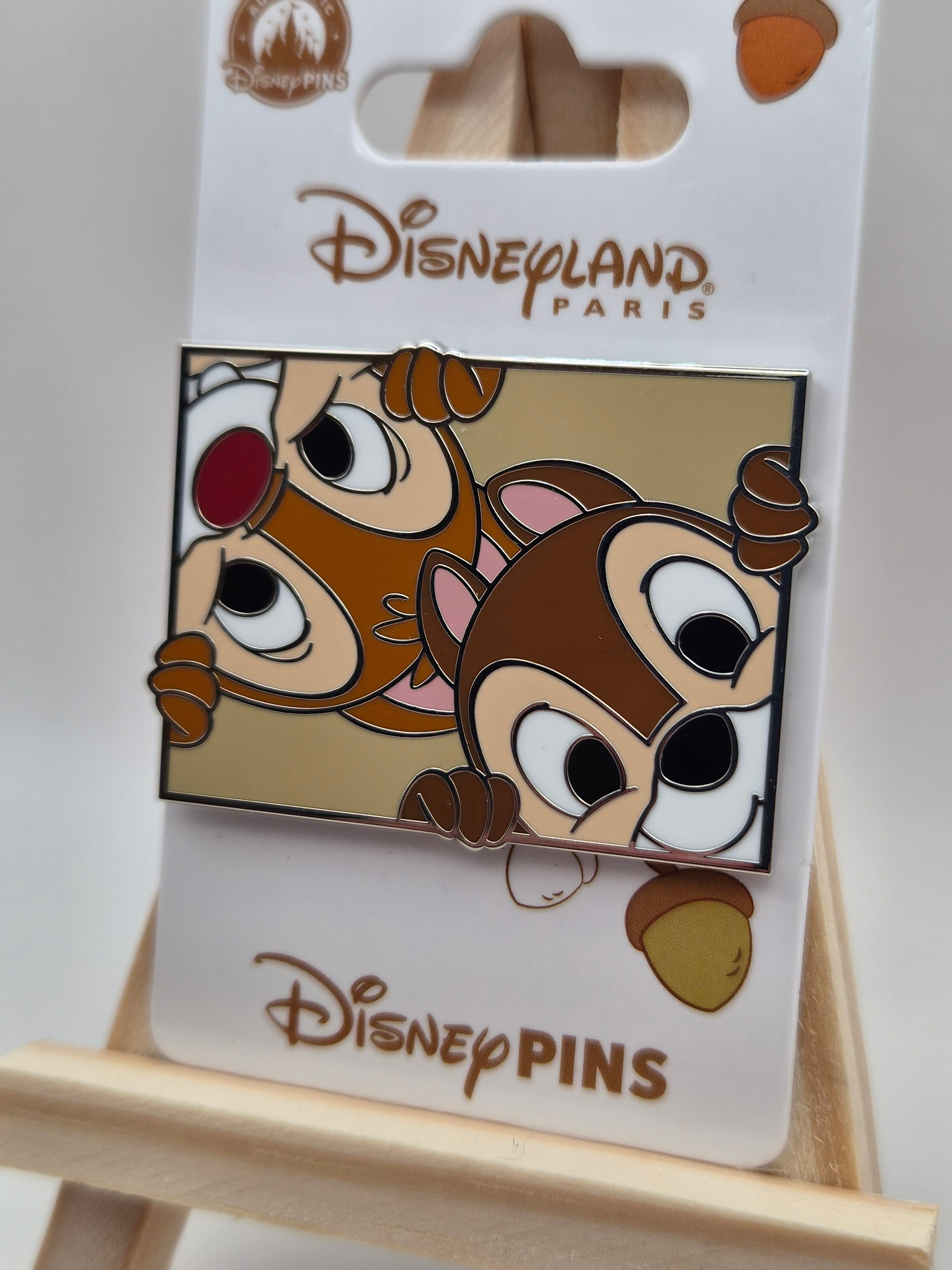 Chip & Dale - Rectangular - Disneyland Paris Pin